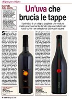PRIMITIVO 2005 - UN'UVA CHE BRUCIA LE TAPPE 